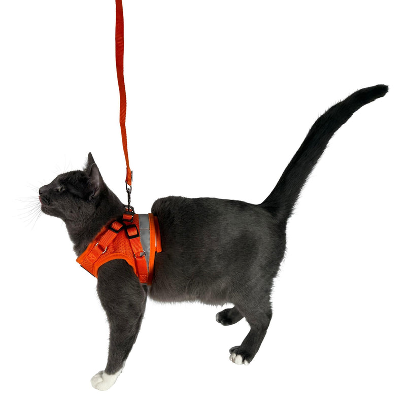 Travel Cat Harness and Leash Set - Adjustable Fit Mesh Cat Harness and Reflective Strap - Comfort Escape Proof Harness for Cats, Kitten for Outdoor Walking, Hiking (Medium, Orange) Medium - BeesActive Australia