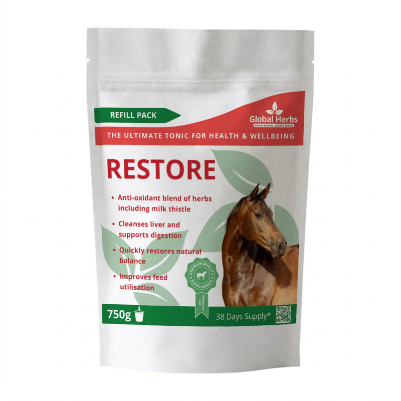 Global Herbs Restore Powder for Horses 750g Refill Pouch Liver, Digestion & Condition Support Herbal Supplement