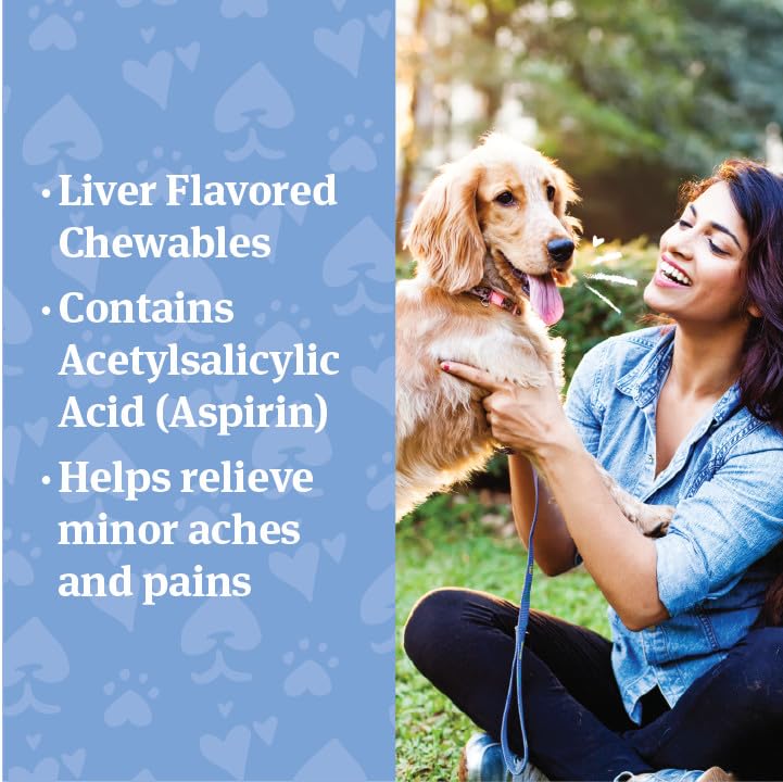 PetArmor Aspirin for Large Dogs, Fast Acting Anti-Inflammatory and Pain Relief For Dogs, Vet-Quality Joint Support and Pain Meds for Dogs, 120 Liver Flavored Tablets Medium-Large Dogs (50+ lbs)