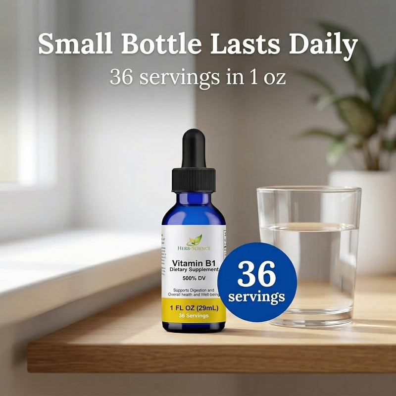 Vitamin B1 Liquid Drops, Thiamine, Alcohol-Free, 1 Oz | Made with Only 3 Premium Ingredients, 500% Daily Value per Serving and 36 Servings in an Easy-to-Take Vegan Liquid Formula 1 Fl Oz (Pack of 1)