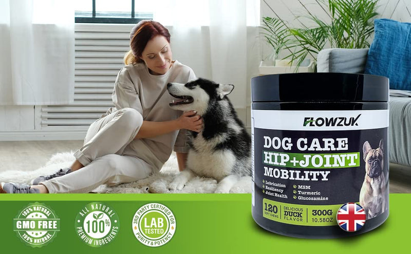 Dog Care Supplement - All-Natural Hip and Joint Supplements for Dogs - Dog Joint Itch Chews with Glucosamine, Turmeric, MSM - Beef