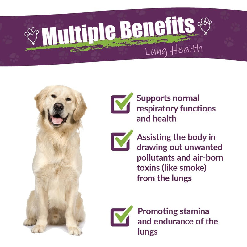 Amber NaturalZ Numo Care Lung Health Herbal Supplement for Dogs | Canine Herbal Supplement for Bronchial Support and Respiratory Lung Health | 1 Fluid Ounce Glass Bottle | Manufactured in The USA 1 Ounce (Pack of 1) - PawsPlanet Australia