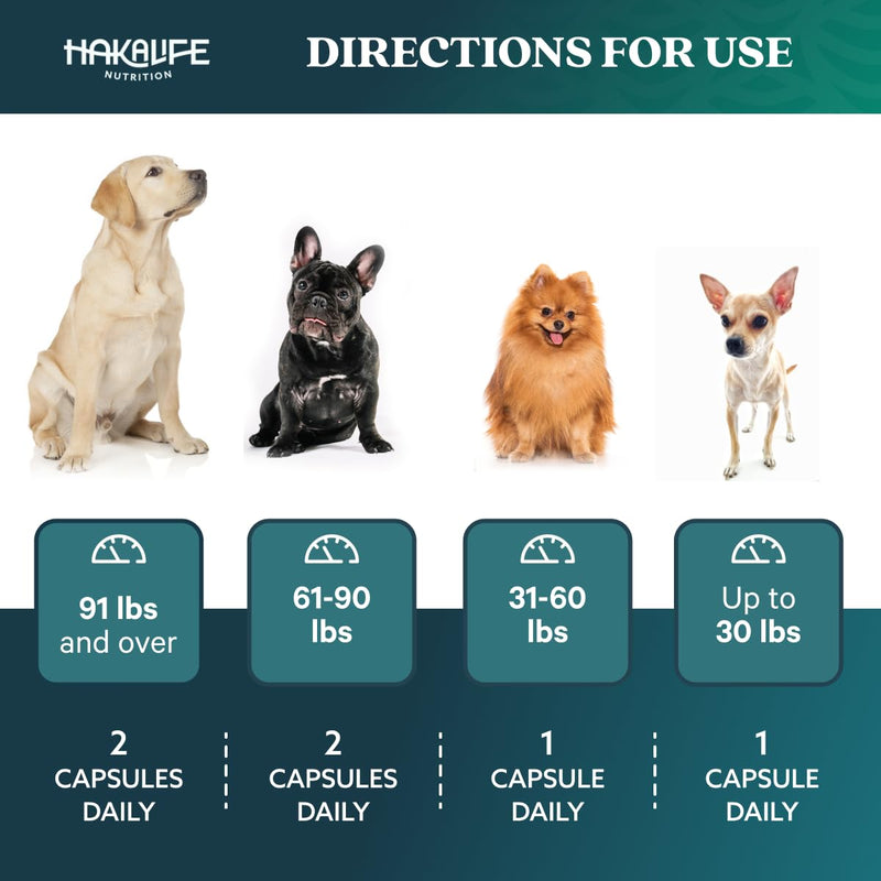 GLX3 Green Lipped Mussel Oil for Dogs | Joint & Hip Comfort Omega-3 Supplement | Ideal for All Dog Breeds and Ages | 1 Month Supply, 60 Soft Chews w/Natural Ingredients 1 pack - PawsPlanet Australia