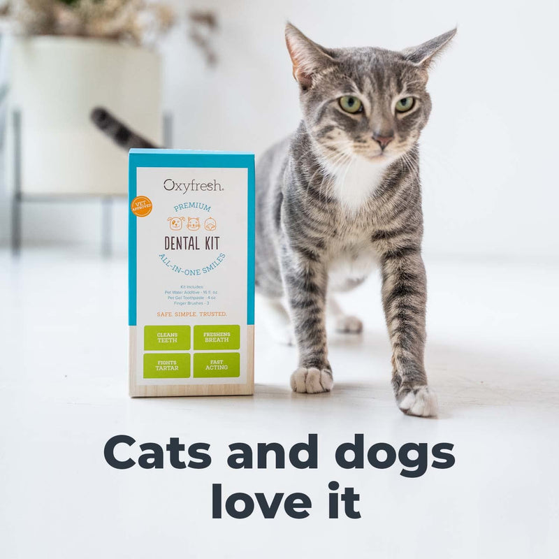 Oxyfresh Premium Pet Dental Kit for Dogs & Cats – Easy Solution for Dog and Cat Fresh Breath, Clean Teeth, Control Plaque & Tartar – Vet Formulated Pet Toothpaste 4oz + Water Additive 16oz Kit Large Kit - PawsPlanet Australia