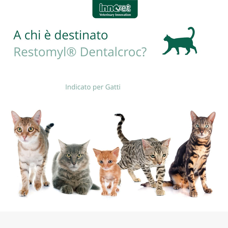 Innovet Restomyl Dentalcroc, Improves Breath, Controls Plaque and Tartar of Cats - Pack of 60 g
