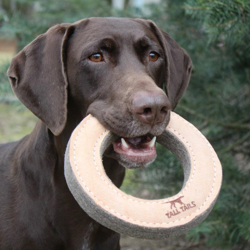 Tall Tails Ring Natural Leather Fetch Toy for Dogs - BeesActive Australia