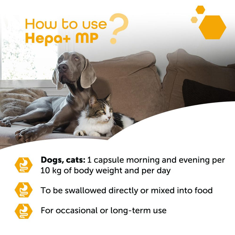 MP Labo Hepa+® MP for Dogs and Cats – 30 Sprinkle Capsules | Veterinary Grade Liver & Gall Bladder Support with SAMe Precursor Zinc-Methionine, Silymarin-Rich Milk Thistle & Fumitory