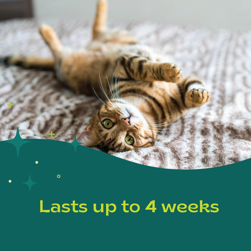 Pheromone Calming Collar for Cats Up to 30 Days Stress Relief Promotes Calmness, Reduces Hiding, Excessive Meowing, Urine Marking, Aggression, Travel Stress Drug-Free, Vet-Tested - PawsPlanet Australia