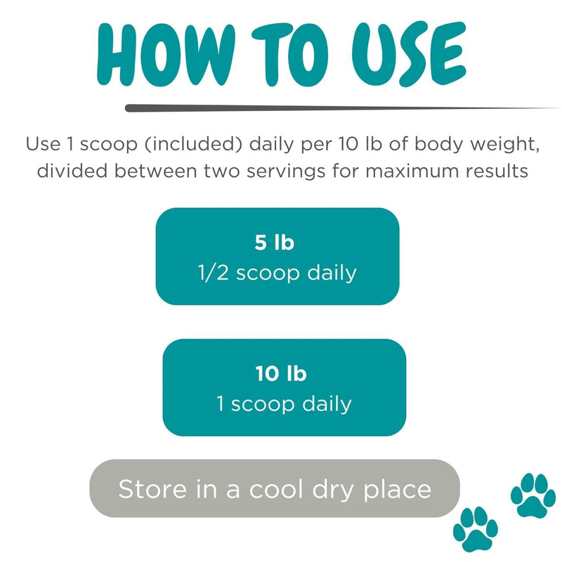maxxipaws maxxidental Cat Dental Powder | Oral Care Supplement for Teeth, Gums, Plaque, Tartar and Fresh Breath | Kelp, Zeolite, Papain, Probiotics | Easy Sprinkle Formula | 3.2 oz