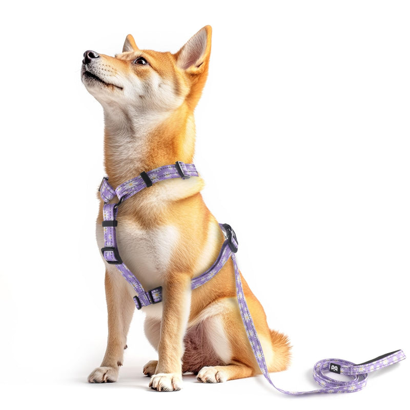 Dog Harness Leash Set, No Pull Adjustable Halter Cute Comfort Padded Handle for Medium Sized Large Small Dogs Walking Training Running with Reflective（Small,Purple） Purple - BeesActive Australia