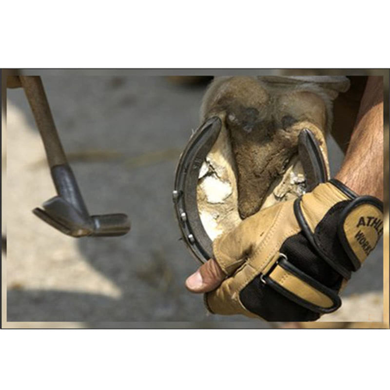 E-outstanding 50Pcs Steel 1.2 Inch E3 Horseshoe Nail, Low-carbon Steel - BeesActive Australia