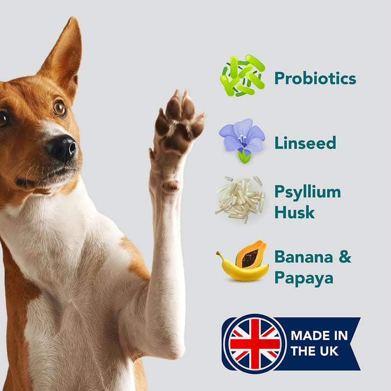The Healthy Dog Co Probiotics for Dogs – Gentle Dog Probiotic Supplements Powder for Digestion, Immunity & Digestive Care for Pets – 112 Servings – Just Sprinkle on Food