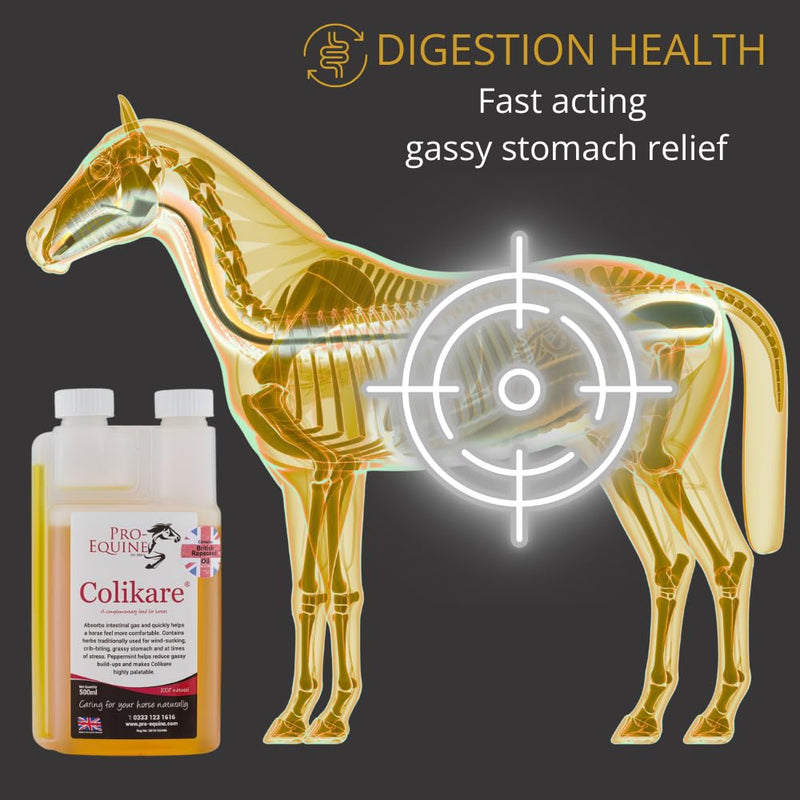 Colikare horse colic supplement (500ml). Super fast action for uncomfortable gassy relief. Can be fed regularly or when required. Appetising peppermint taste.