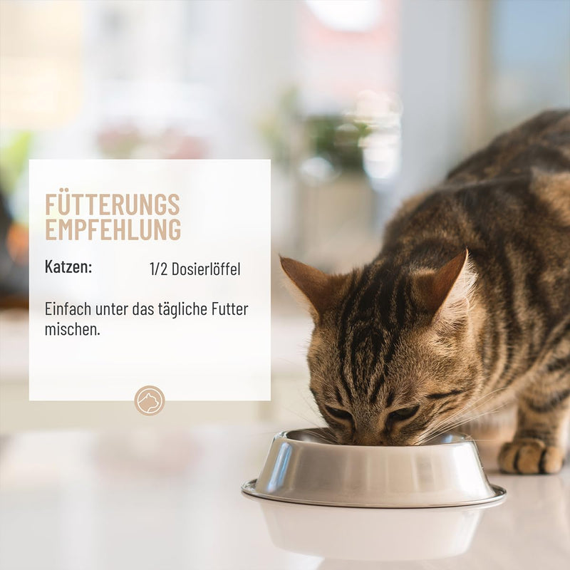 ReaVET stomach mild powder for cats 50g - supports digestion, binds gastric juices and acids, harmonizes gastrointestinal activity, protects the cat's stomach as a natural product - BeesActive Australia