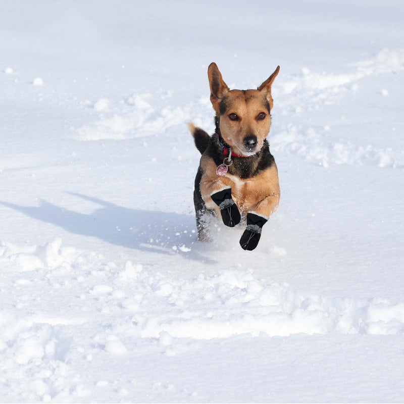 Dog Boots Dog Snow Boots for Winter, Dog Winter Boots Dogs with Anti-Slip Sole and Plush,Boots & Paw Protecto with Reflective Straps for Small Medium Dogs 4PCS Black Size 3 - BeesActive Australia