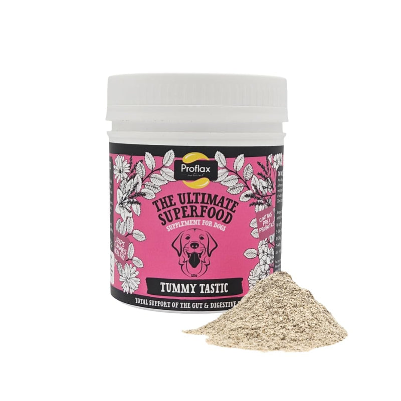 Proflax Tummy Tastic Digestive Care for Dogs – Pre & Probiotic Blend for Gut Health, Digestion & Stool Quality - 350g 350 g (Pack of 1)