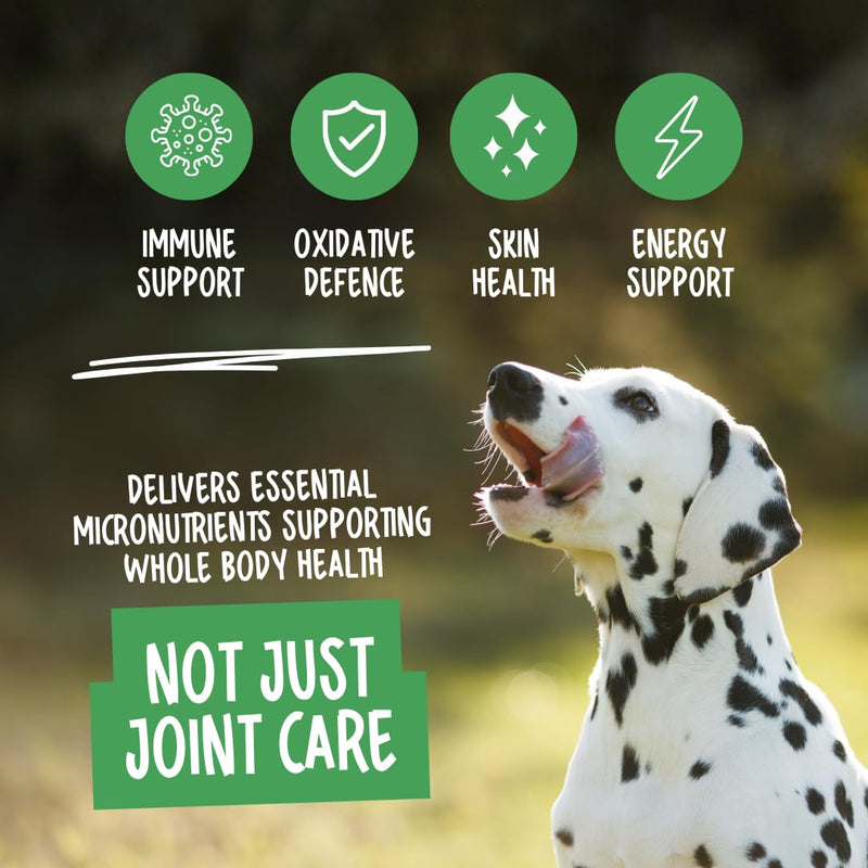 Green Lipped Mussel for Dogs, 120 Tablets. With Natural Joint Supplements for Dogs Glucosamine, Chondroitin and Omega 3 for Hip & Joint Care, Mobility & Vitality in Adult and Senior Dogs