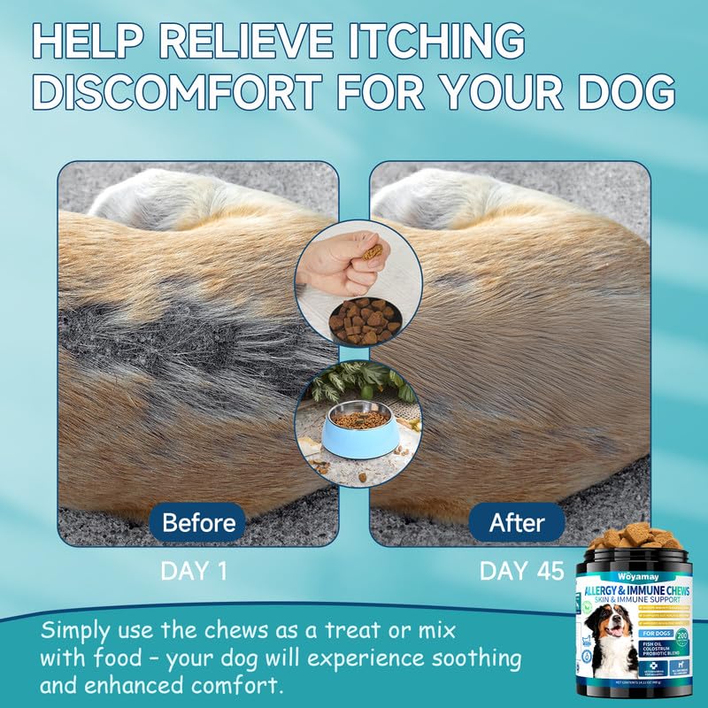 Cat & Dog Allergy Relief Bundle, 500 Crunchy & Creamy Cat Anti-Itch Chews + 200 Soft Allergy Relief Chews for Dog | Itchy Skin, Paws, Ears & Seasonal Allergy Support with Omega-3, Turmeric & Colostrum