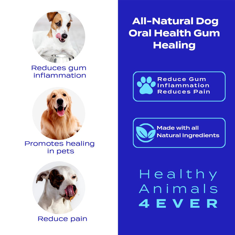 Healthy Animals 4 Ever Oral Health Gum Healing for Dogs - Relieves Inflammation, Soothes Pain, Fights Gum Disease - Natural, Non-GMO, Organic - Gluten, Preservative & Chemical Free Supplement - 300 ct - PawsPlanet Australia