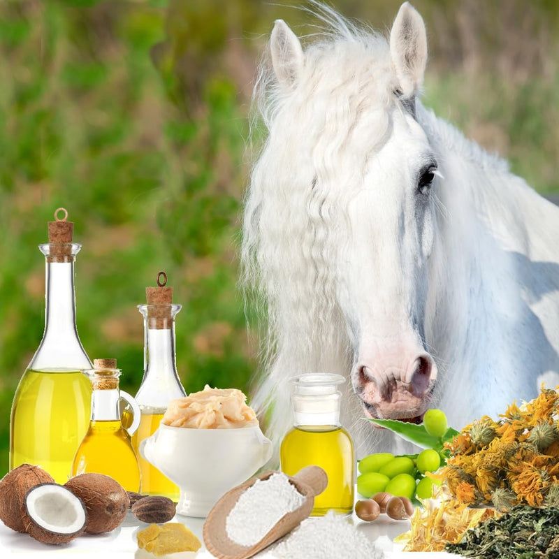 The Blissful Horses Summer Care Sun Butter, Gentle Horse Sunscreen, Easy-to-Apply Equine Sunblock Solution, Must-Have Horse Essentials for All Day Sun Protection, 4 oz. 4-Ounce - BeesActive Australia