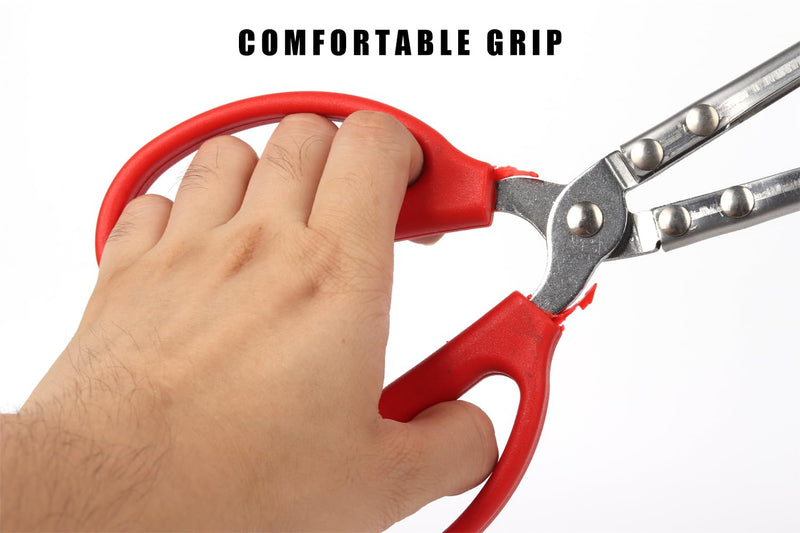 Snake Feeding Tongs, Ball Python Tank Accessories Supplies fit Corn Snakes - PawsPlanet Australia