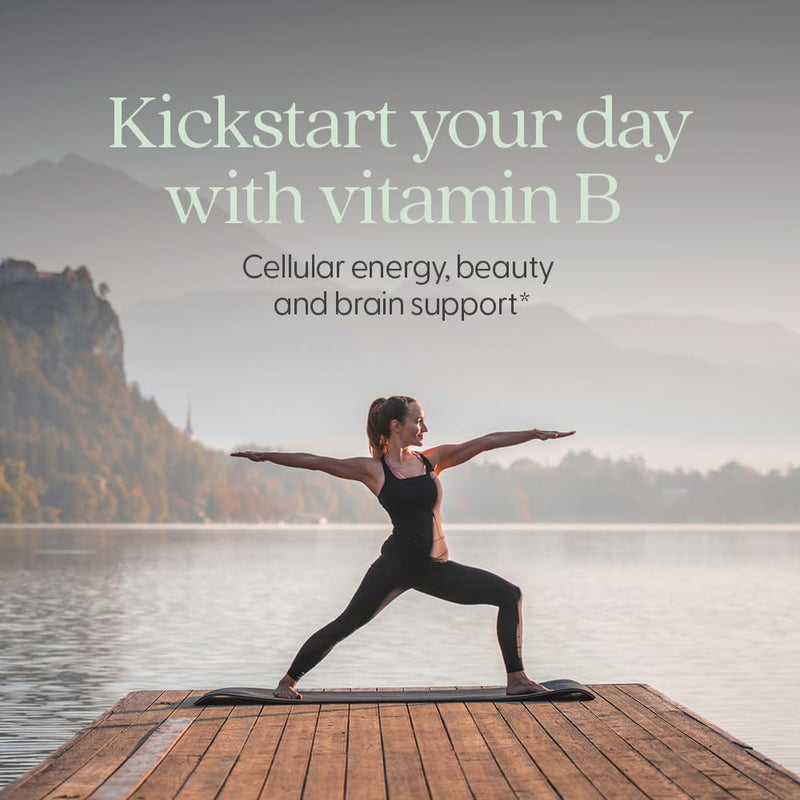 New Chapter USDA Organic Fermented Vitamin B Complex, 60 Count | ONE Daily for Cellular Energy, Brain, and Beauty Support, 100% Vegan, Gluten Free, Certified Organic B Vitamins Unflavored 60 Count (Pack of 1)
