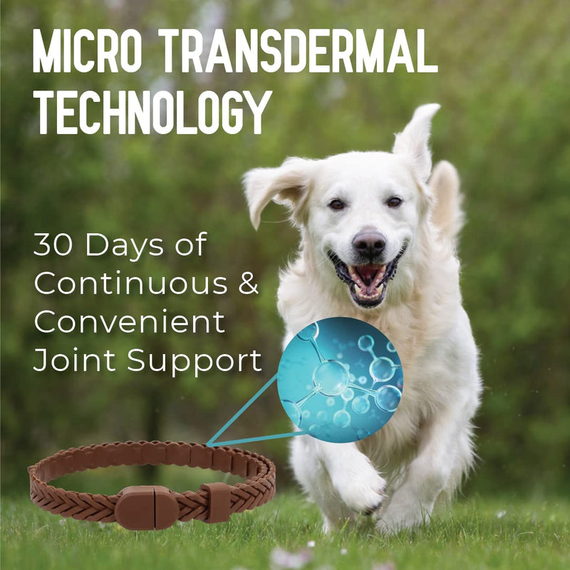 Hip + Joint Mobility Collar for Dogs with Glucosamine, Chondroitin, MSM, and More | Convenient & Easy | 30 Days of Continuous Support | Water Resistant (Med/Large) Medium/Large - PawsPlanet Australia