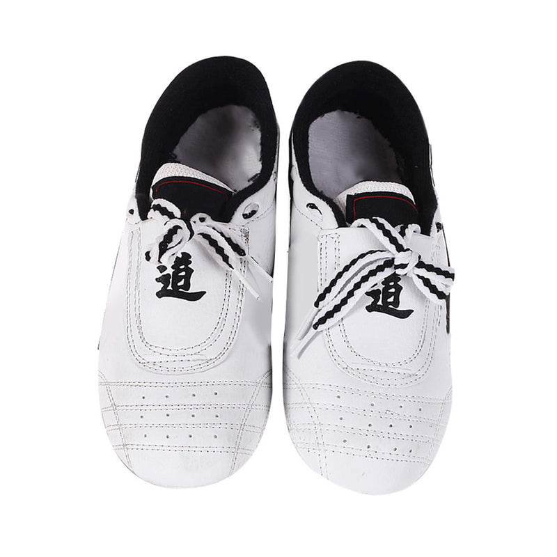 Dilwe Kong Fu Shoes, Reliable Taekwondo Shoes for Men and Women Children, White 37 M EU