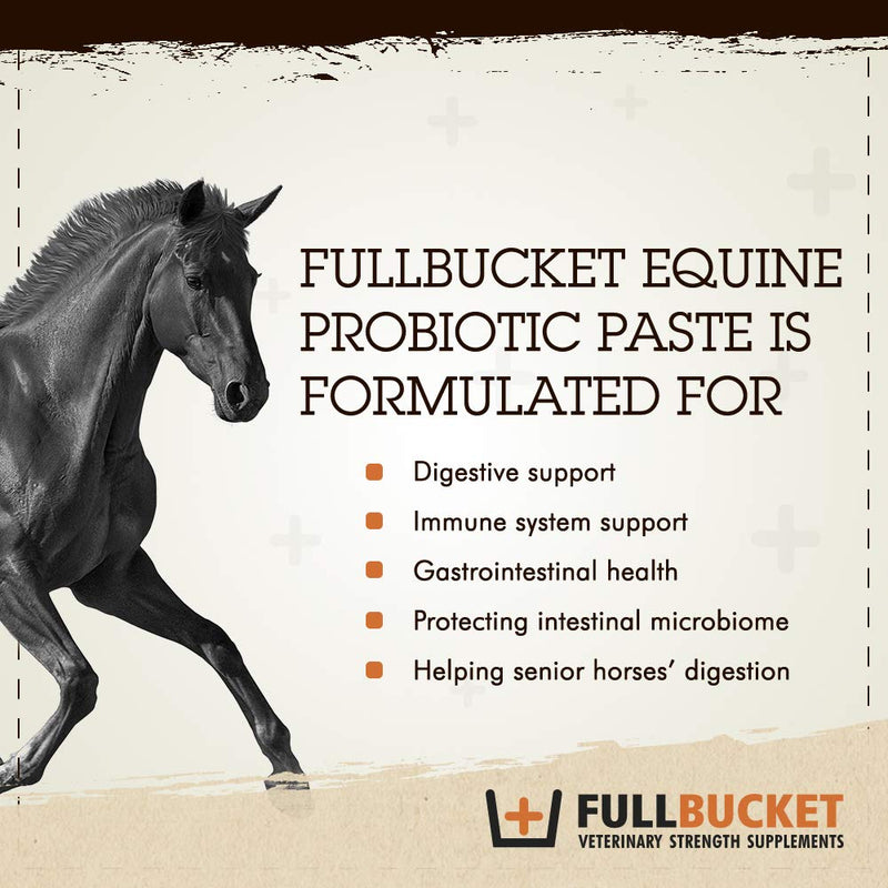 Equine Probiotic Paste with Saccharomyces Cerevisiae Boulardii for Daily Digestive Optimization; Concentrated Formula with 100 Billion CFUs, 1 Tube - BeesActive Australia