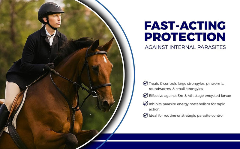 Horse Paste 10% – 1 Pack – 25g Syringes – Oral Deworming Paste for Horses of All Ages – Easy-to-Administer Equine Care