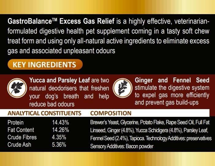 flatulence relief for dogs natural remedy to cure dog wind farts (Bacon flavour) Bacon flavour