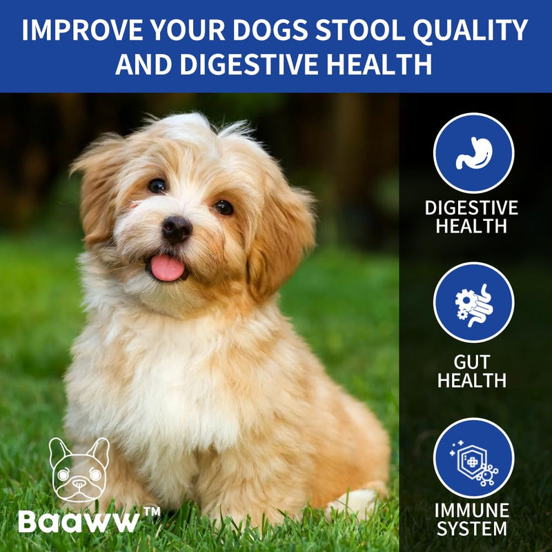 Probiotics for Dogs, Instant Diarrhea Relief, Dog Immune Support Chews, Digestive Health, Skin Irritation, Allergies, 6 Billion CFU's, 90 Pork Flavor Soft Chews for All Dog Sizes