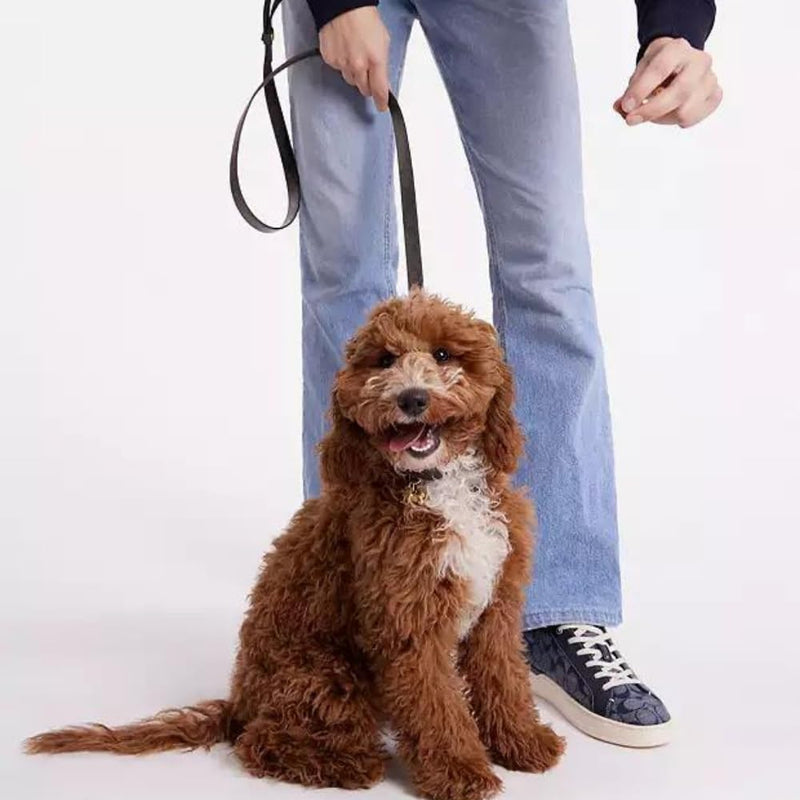 8 FT Multi-Function Leather Dog Leash, Genuine Leather Hands-Free Training Lead for Small Medium Large Dogs, Adjustable Long Leash for Walking, Hiking, Obedience Control (Black, 8 Ft) Black - BeesActive Australia