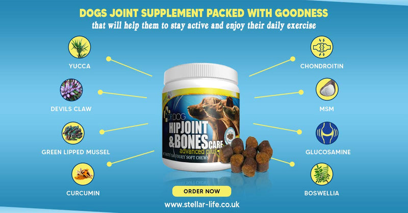 DR DOG Joint Supplement - 90 Cold Pressed Soft Chew Dogs Joint Supplements - Hip & Joint Care for Dogs – Bacon Flavoured Dog Joint Care Chews – Chondroitin - Glucosamine for Dogs –Vet Grade-Made in UK