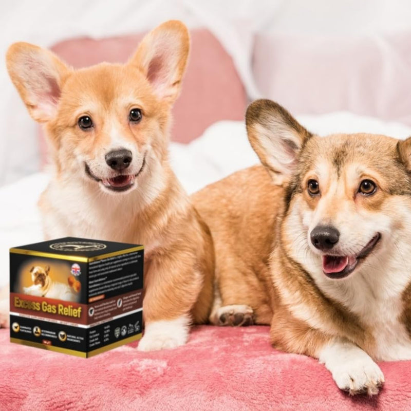 dog flatulence treatment - 60 natural dog flatulence chews recommended by vet (Bacon flavour) Bacon flavour