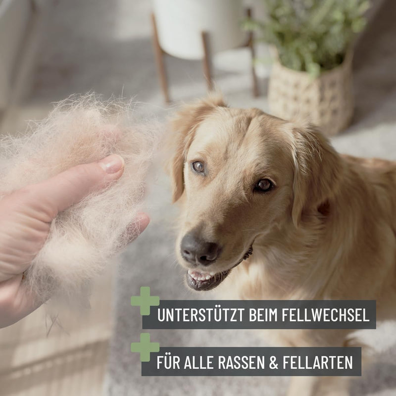 ReaVET 2-in-1 dog brush, cat brush for long hair and short hair - also for puppies and cats I smoothing, detangling, brushing out I all-round talent for daily grooming - BeesActive Australia