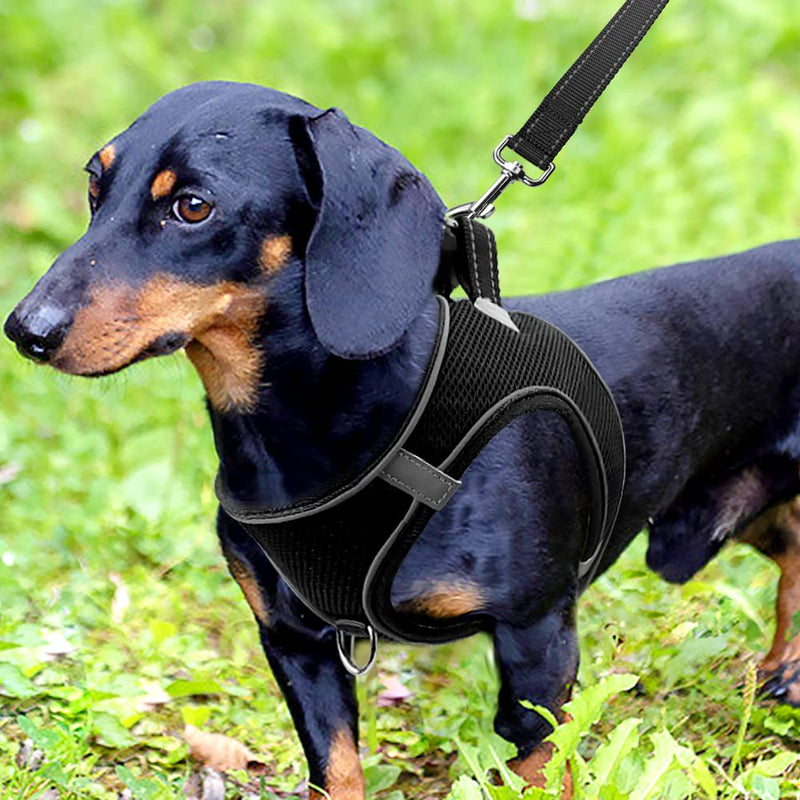 Joytale Dog Harness, Reflective Soft Padded Dog Harness, Air Mesh Breathable Chest Harness for Small Medium Dogs, M, Black M-Chest: 42-47cm - BeesActive Australia