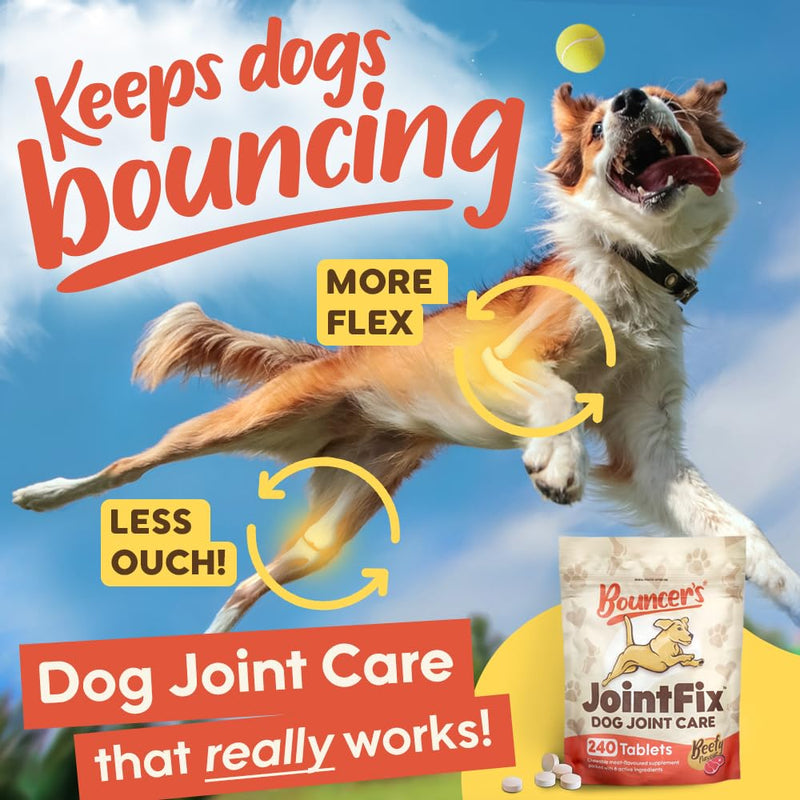 Bouncer's Joint Supplements for Dogs - High Strength Glucosamine, Chondroitin & Hyaluronic Acid | Affordable Mobility Support for Senior Dogs | 100% Recyclable | Letterbox Friendly 240 Tablet Pack