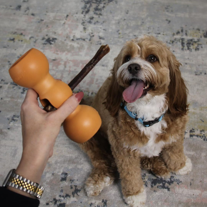 Bow Wow Labs Buddy Safety Device | Newly Redesigned Bully Stick Holder for Dogs | Made in The USA | Dishwasher Safe (S) Small (16-30 pound dog) Newly Redesigned/Orange - BeesActive Australia