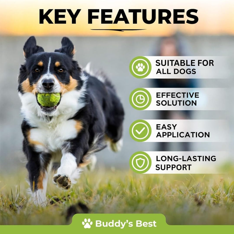 Digestive Intestinal Support for Dogs & Cats + Flea & Tick Protection for Dogs