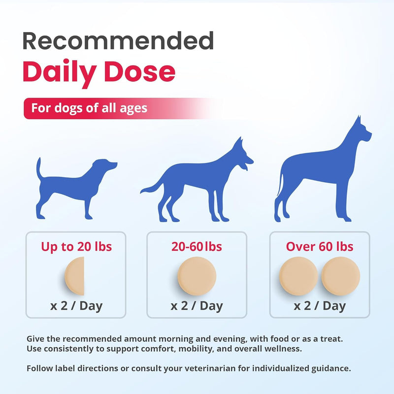 DogtorRx Age Defense, Senior Dog Joint & Mobility Support Supplement, Healthy Joints & Ligaments, Dog Chewable Multivitamin & Supplement for All Breeds & Sizes, Made in USA (60 Tablets)