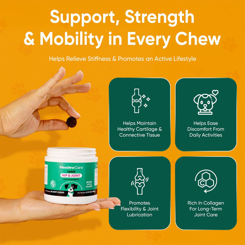 Hip and Joint to Supports Bone, Cartilage & Connective Tissue & Multi-Function to Support Joint Mobility, Skin, Coat & Immune System, Bundle for Dogs