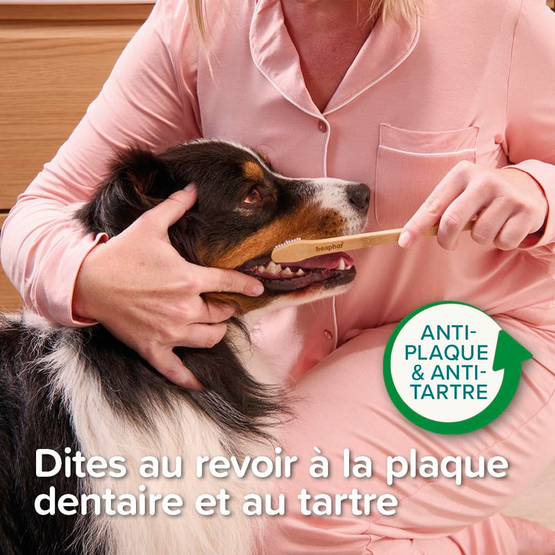 Beaphar Toothbrush Bamboo 1 piece - Double sided brush for dogs and cats