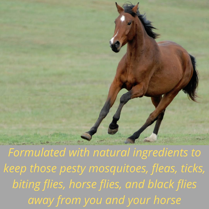 Fly and Bug Repellent Spray for Horses | DEET Free | Repels Mosquitos, Fleas, Ticks, Deer Flies, Horse Flies, Black Flies, Yellow Flies & More | All Natural | No Harsh Chemicals |16oz Spray Equine Fly Spray 16oz - BeesActive Australia