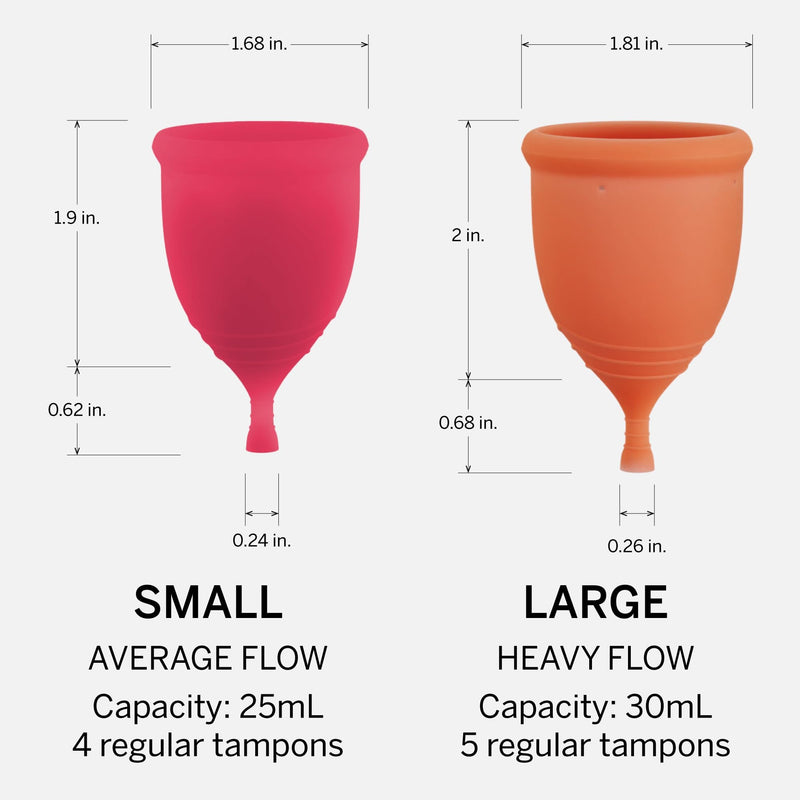 Menstrual Cups with Sterilizer - Ranked 1 for Most Comfortable Soft Reusable Period Cup - Kills 99.9% of Germs with Cleaner Steamer - Wash Your Cup in 3 Minutes! - Compact Sanitizer Kit 1 Count (Pack of 1) - BeesActive Australia