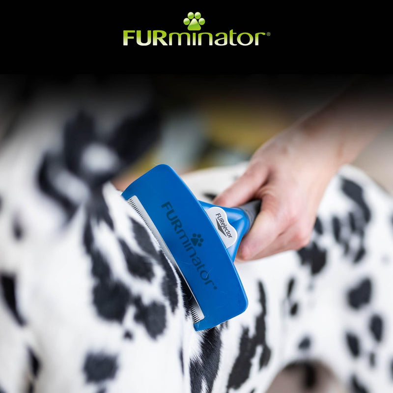 Furminator deShedding tool dog size L short hair - dog brush for large dogs to remove undercoat - improved design - BeesActive Australia