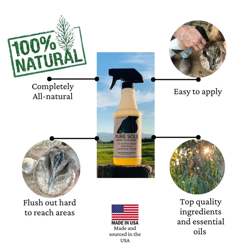 Thrush Treatment for Horses Hoof Spray Hoof Cleanse- an All Natural Spray for A Healthy Horse Hoof. Use for White Line, Abscess Treatment, Cracks, and Hoof Wall Separation - 16 oz - BeesActive Australia
