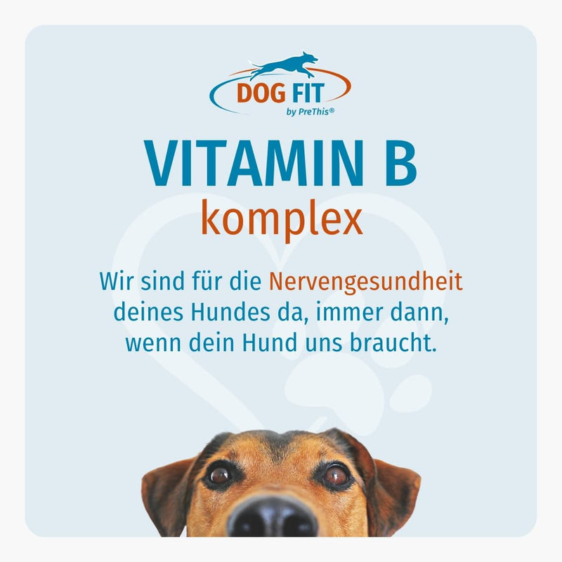 DOG FIT by PreThis® Vitamin B complex for dogs I nervous system, incontinence, spondylosis, tremors, strengthening I B vitamins with biotin & folic acid I Vegan without additives | medium medium (10 - 25kg) - BeesActive Australia