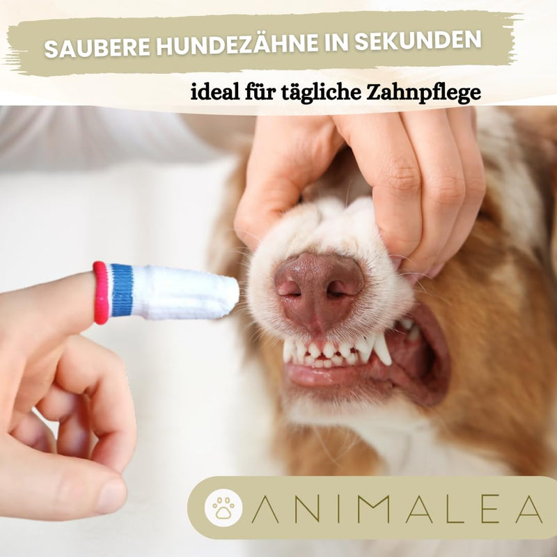 Anti-Plaque Finger Toothbrush Dog, Finger Shaped Dog Toothbrush, Tartar Remover Dog, Dog Accessories, Pack of 2
