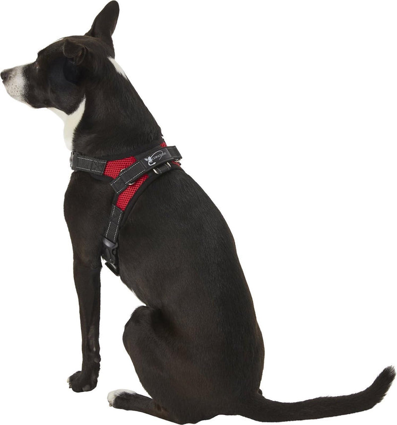 Dog Harness Small Sized Dog - All Weather Mesh overhead adjustable no pull Vest Puppy reflective Harness with handle for Small and Medium Dogs by Copatchy - Harness (Red) Small Red - BeesActive Australia